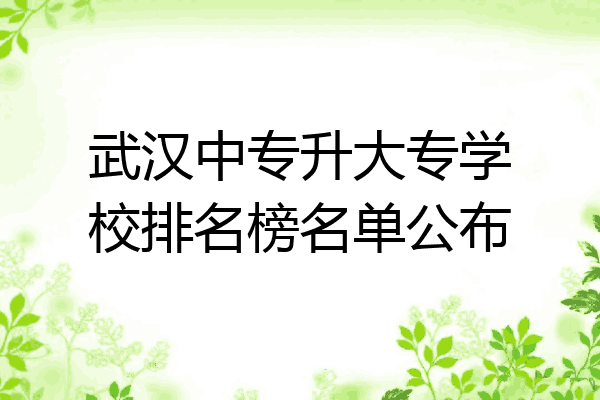 武汉中专升大专学校排名榜名单公布