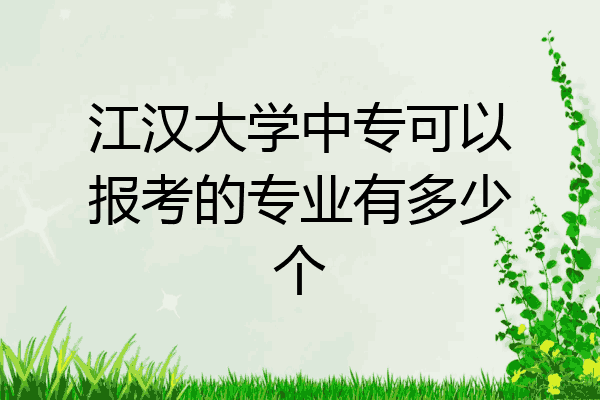 江汉大学中专可以报考的专业有多少个