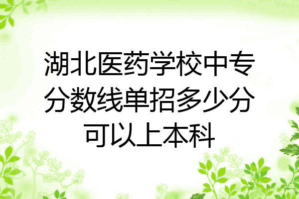 湖北医药学校中专分数线单招多少分可以上本科