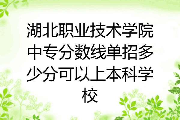 湖北职业技术学院中专分数线单招多少分可以上本科学校