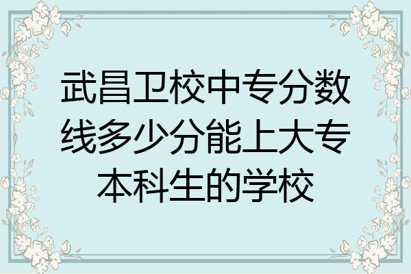 武昌卫校中专分数线多少分能上大专本科生的学校