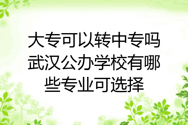 大专可以转中专吗武汉公办学校有哪些专业可选择
