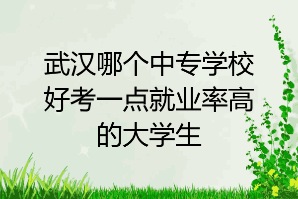 武汉哪个中专学校好考一点就业率高的大学生
