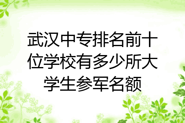 武汉中专排名前十位学校有多少所大学生参军名额