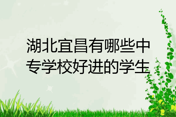 湖北宜昌有哪些中专学校好进的学生