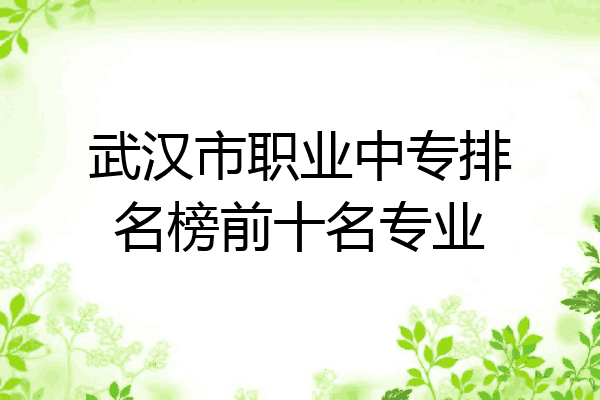 武汉市职业中专排名榜前十名专业