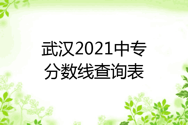 武汉2021中专分数线查询表