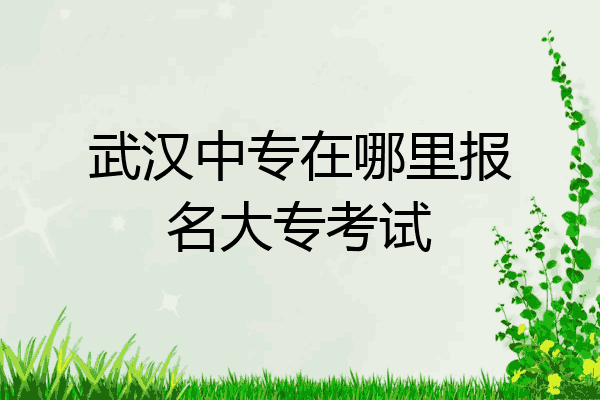 武汉中专在哪里报名大专考试