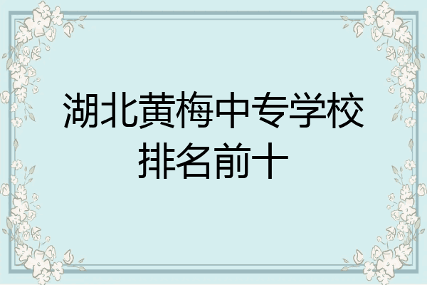 湖北黄梅中专学校排名前十