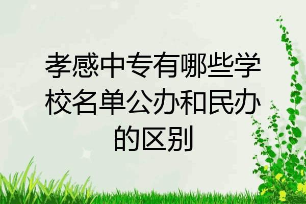 孝感中专有哪些学校名单公办和民办的区别