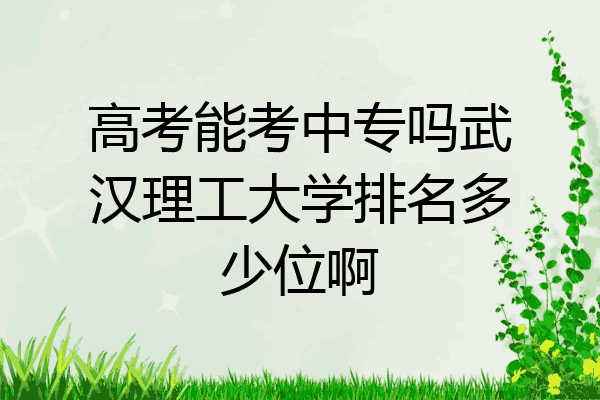 高考能考中专吗武汉理工大学排名多少位啊