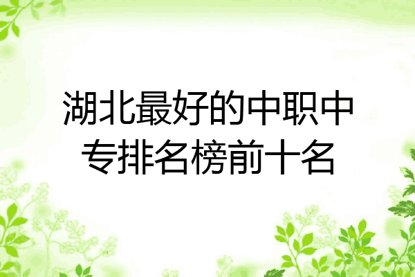 湖北最好的中职中专排名榜前十名