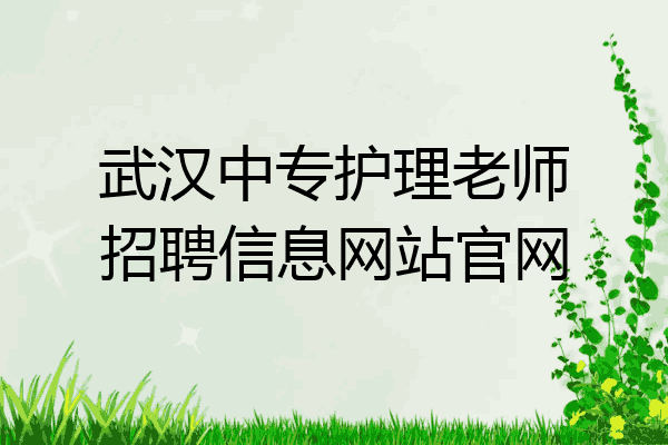 武汉中专护理老师招聘信息网站官网