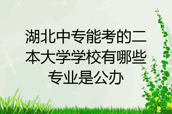 湖北中专能考的二本大学学校有哪些专业是公办