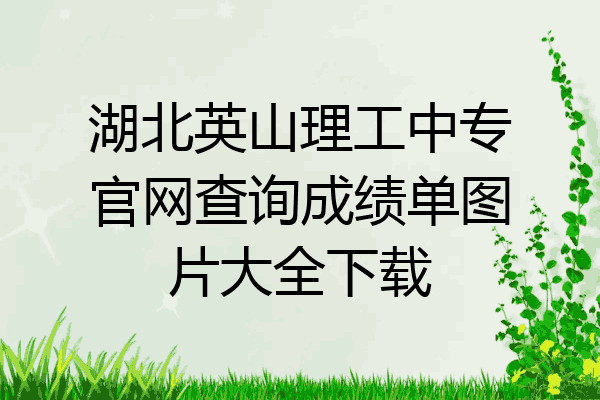 湖北英山理工中专官网查询成绩单图片大全下载