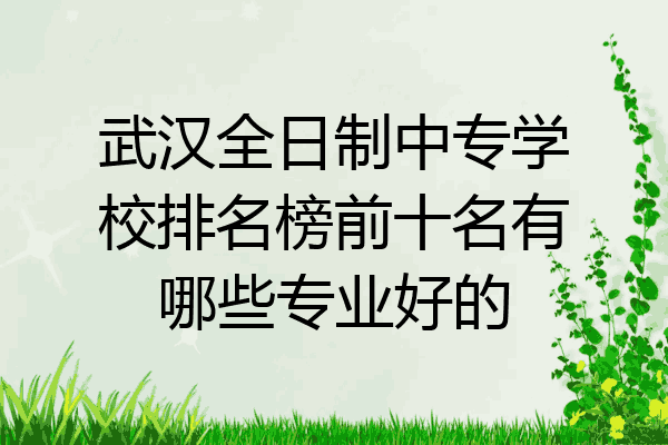 武汉全日制中专学校排名榜前十名有哪些专业好的