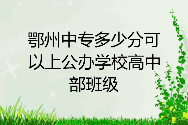 鄂州中专多少分可以上公办学校高中部班级