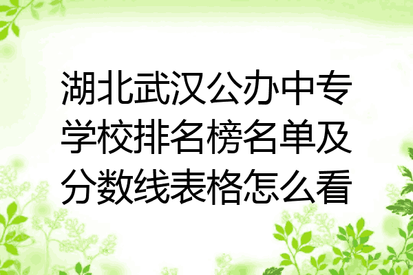 湖北武汉公办中专学校排名榜名单及分数线表格怎么看