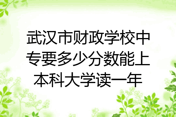 武汉市财政学校中专要多少分数能上本科大学读一年