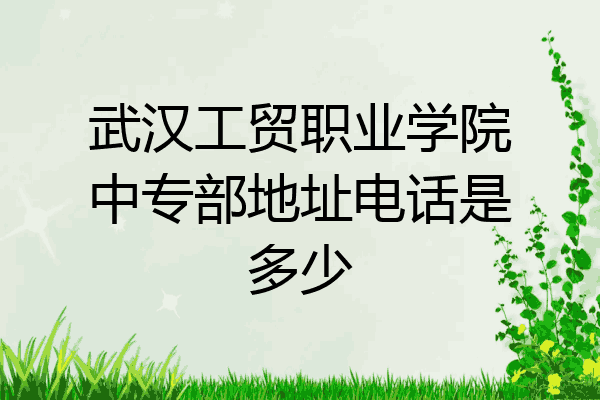 武汉工贸职业学院中专部地址电话是多少