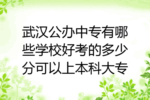 武汉公办中专有哪些学校好考的多少分可以上本科大专