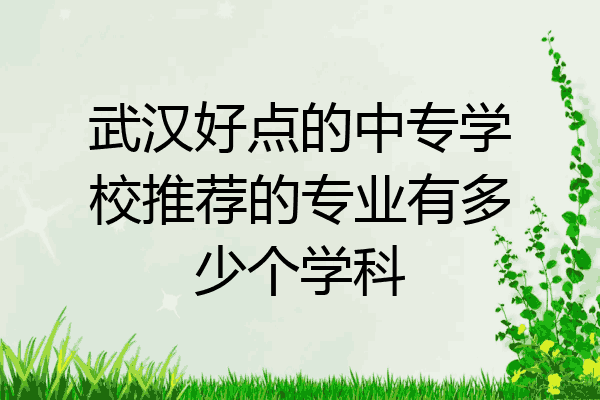 武汉好点的中专学校推荐的专业有多少个学科