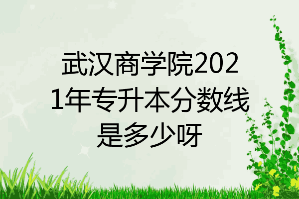 武汉商学院2021年专升本分数线是多少呀