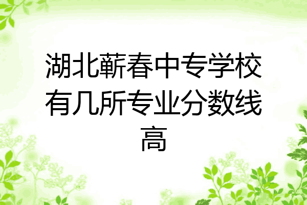 湖北蕲春中专学校有几所专业分数线高