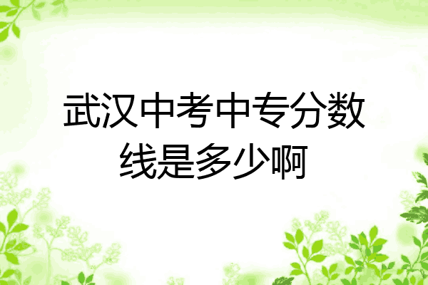 武汉中考中专分数线是多少啊