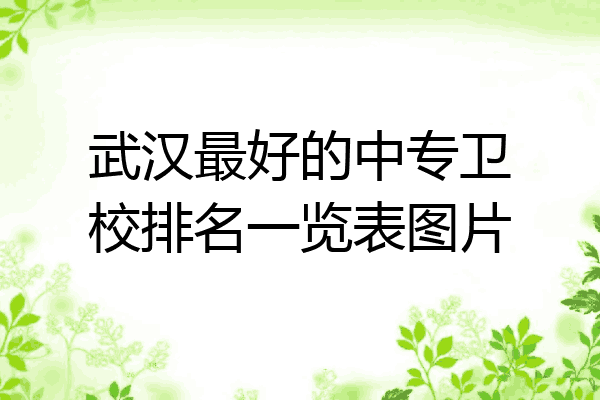 武汉最好的中专卫校排名一览表图片