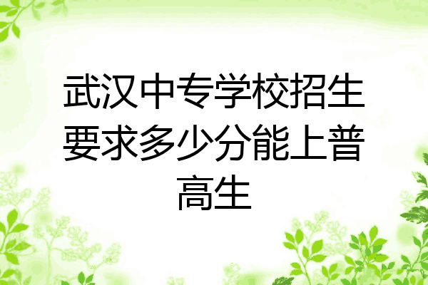 武汉中专学校招生要求多少分能上普高生