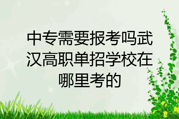 中专需要报考吗武汉高职单招学校在哪里考的