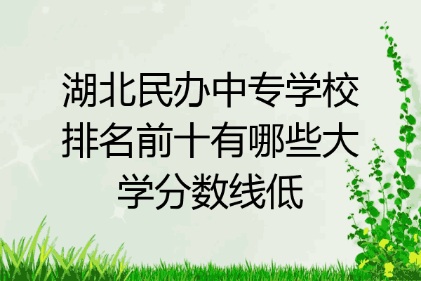 湖北民办中专学校排名前十有哪些大学分数线低
