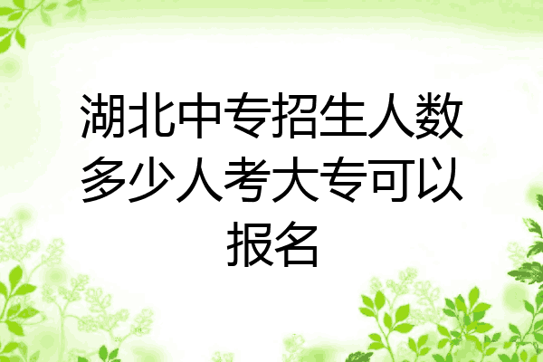 湖北中专招生人数多少人考大专可以报名