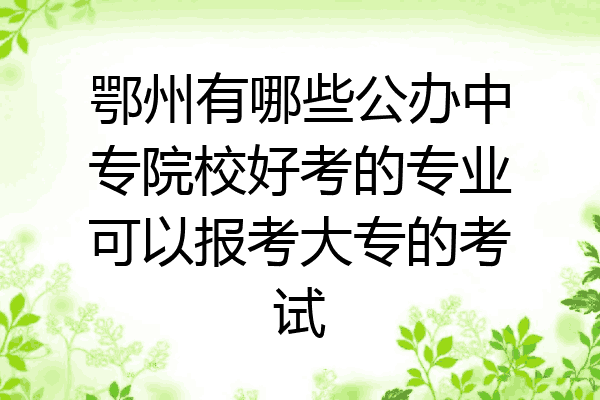 鄂州有哪些公办中专院校好考的专业可以报考大专的考试