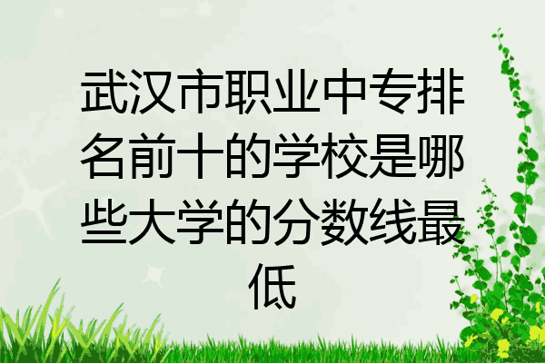 武汉市职业中专排名前十的学校是哪些大学的分数线最低