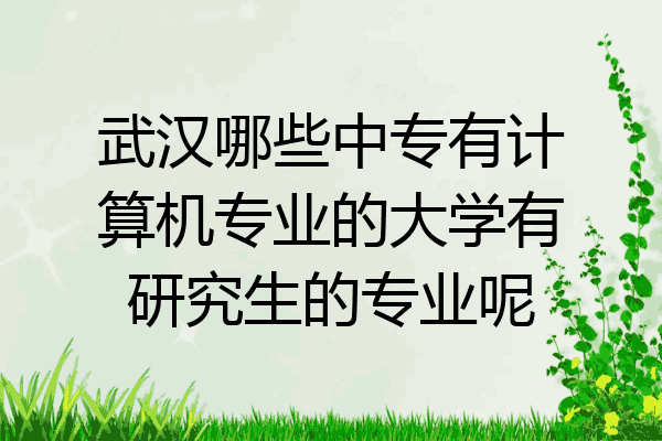 武汉哪些中专有计算机专业的大学有研究生的专业呢