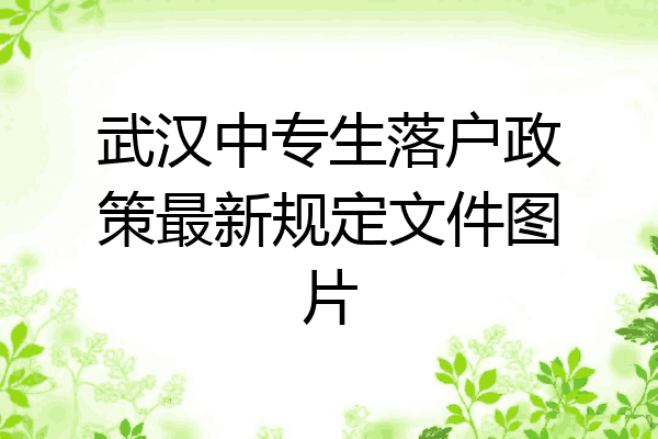 武汉中专生落户政策最新规定文件图片