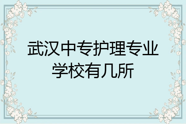 武汉中专护理专业学校有几所
