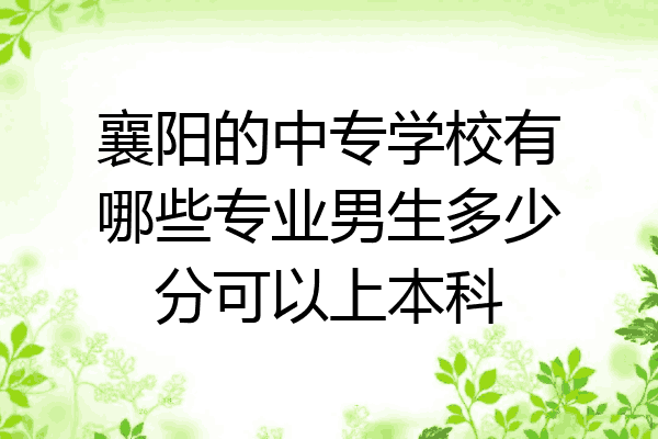 襄阳的中专学校有哪些专业男生多少分可以上本科