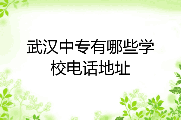 武汉中专有哪些学校电话地址