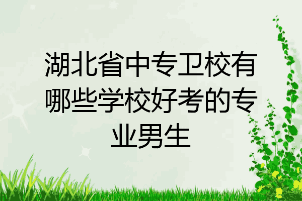 湖北省中专卫校有哪些学校好考的专业男生