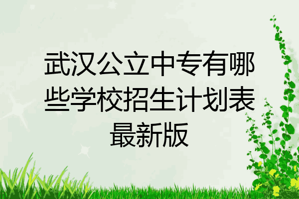 武汉公立中专有哪些学校招生计划表最新版