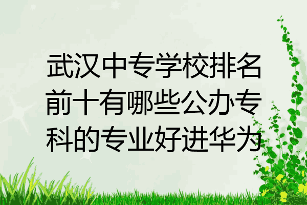 武汉中专学校排名前十有哪些公办专科的专业好进华为