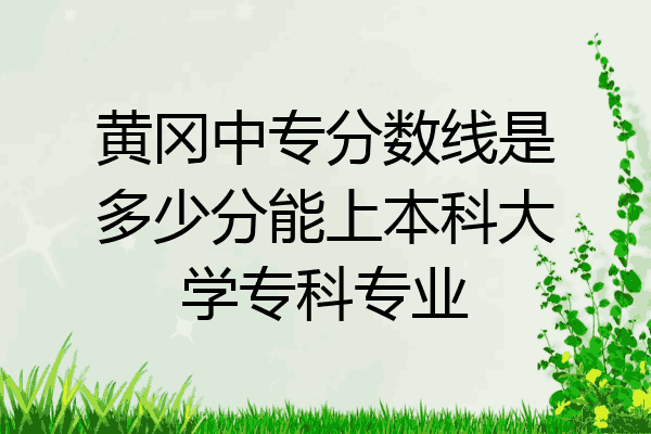 黄冈中专分数线是多少分能上本科大学专科专业