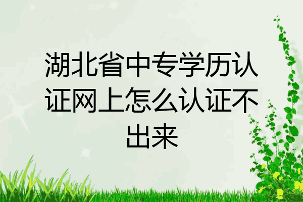 湖北省中专学历认证网上怎么认证不出来