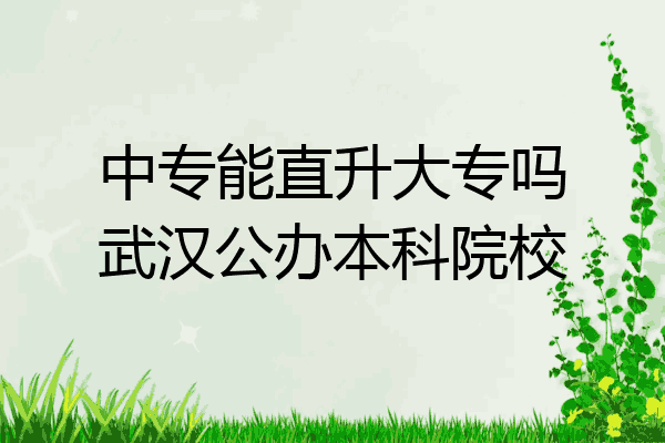 中专能直升大专吗武汉公办本科院校