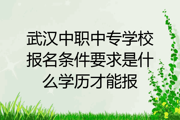 武汉中职中专学校报名条件要求是什么学历才能报