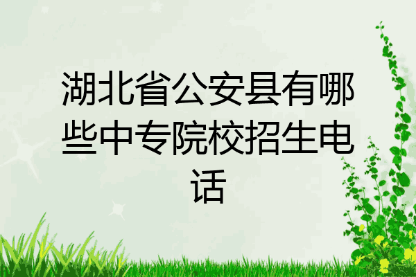 湖北省公安县有哪些中专院校招生电话