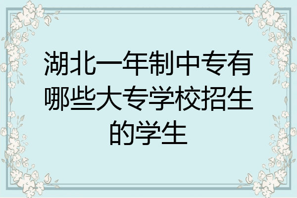 湖北一年制中专有哪些大专学校招生的学生
